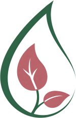 Silke von TropfenKraft